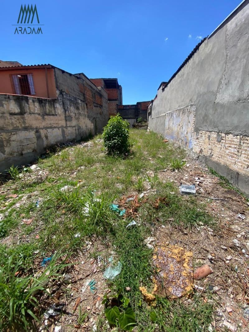 Terreno à Venda no Bairro Saúde  Excelente Localização e Grande Potencial — foto 3