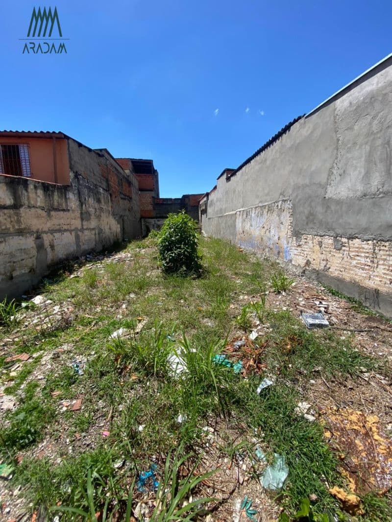 Terreno à Venda no Bairro Saúde  Excelente Localização e Grande Potencial — foto 5